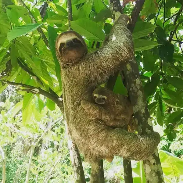 Manuel Antonio National Park