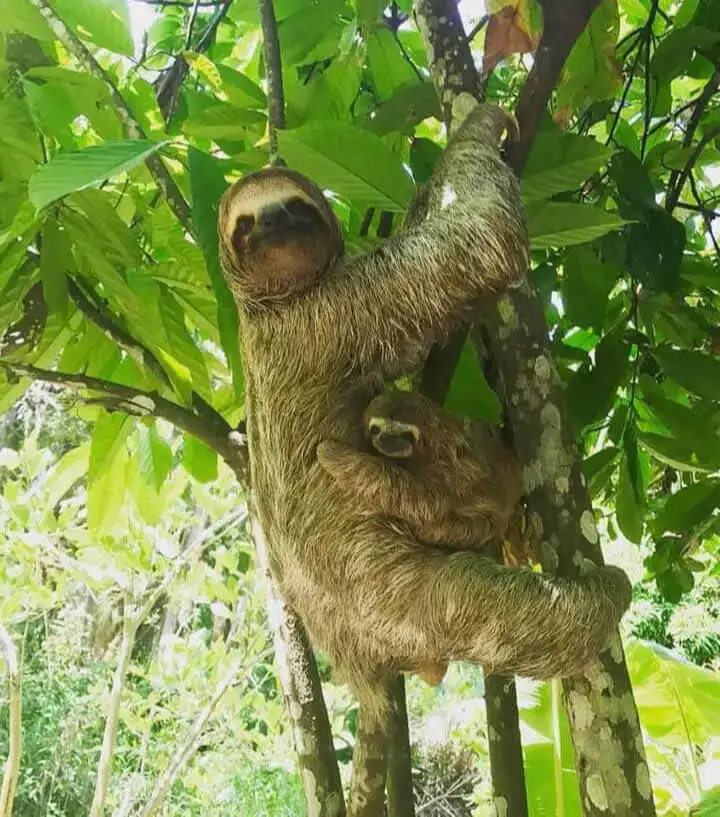 Manuel Antonio National Park