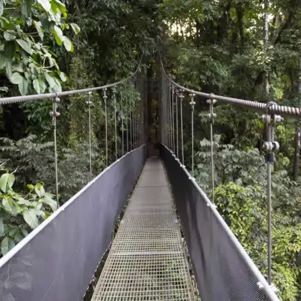 Monteverde Cloud Forest Reserve