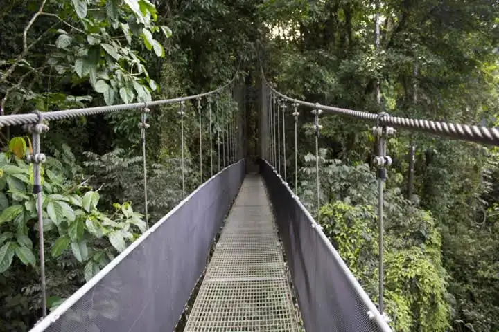 Monteverde Cloud Forest Reserve